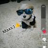 hola.soy.nimer1