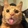 arya_savage