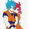 user35518152229goku520