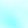 thiienan24_11