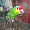ngel.mendoza585
