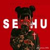 sethuquotes7