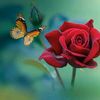 december.love70