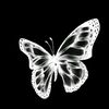 wina_0325