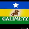 hamdifaysal0