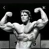 calisthenics8354