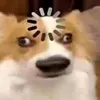 ngaymoicogihot0_o