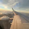 hensku_h867
