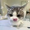 aakifah.sajid8