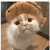 dwong.mwnh