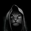 Wolf_empire