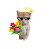 kitty.meow884