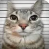 vannila_puffslq