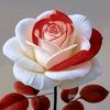 🇾🇪 🌹🫶🏻🇾🇪