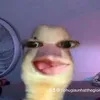 tiphugiaunhatthegioi0123