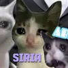 hindito_sisiria