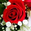 safiyo.maxamed129