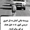hafiz.bilal8752