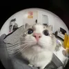yoursolucky22
