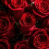 user50943061601613