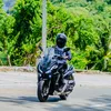 panda052591