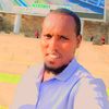 hasan.muhammad482