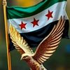 user9220561821054