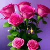 abdulmuhaimin221