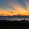 creuzapereira005