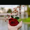 poiuuytrewqkjbhvvjheib
