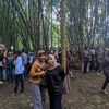 nur.fadhilah8652