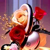 sherkoapk