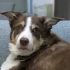 buttface404