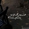 wadiqa25