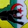 0231chelfaoui