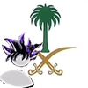 slt_goku_707