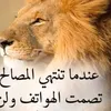 user744845810790