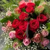 mayele558