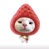 piww_602