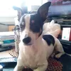 bigsmithy51