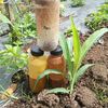petani_nusantara60