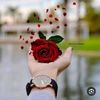 user6185170381726