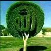 user2376334753816