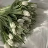 majkaxx_01