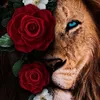 omar_34866