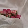 z00..2