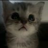lilith_1220