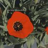 emmaa3605