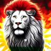 noeri.mohamed0