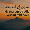 iftin.abdullahi8